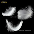 Factory Yintex 2-4cm washed goose down/goose feather